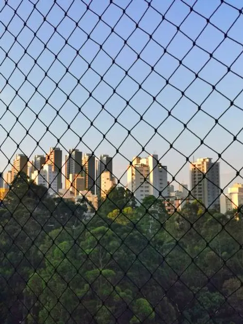 Window Safety Net Services