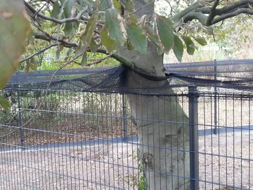 Construction Safety Nets